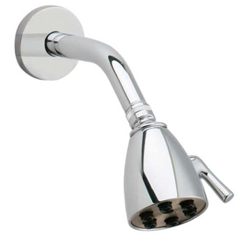  Phylrich Shower Head & Arm 