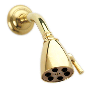  Phylrich Shower Head & Arm 